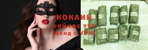 индика Абинск