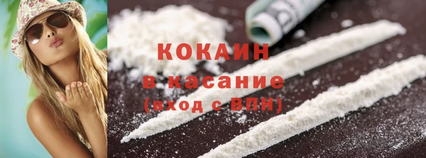 индика Абинск