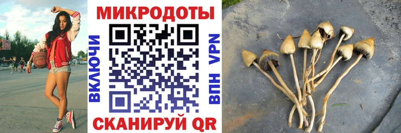 Галлюциногенные грибы GOLDEN TEACHER  МЕГА ONION  Опочка 
